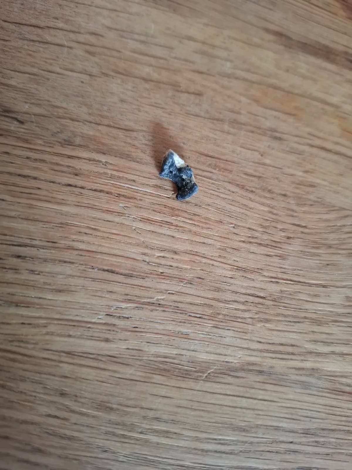 Metallbit i brödet