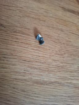 Metallbit i brödet