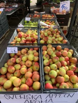 Äpplets dag 25/9 2026